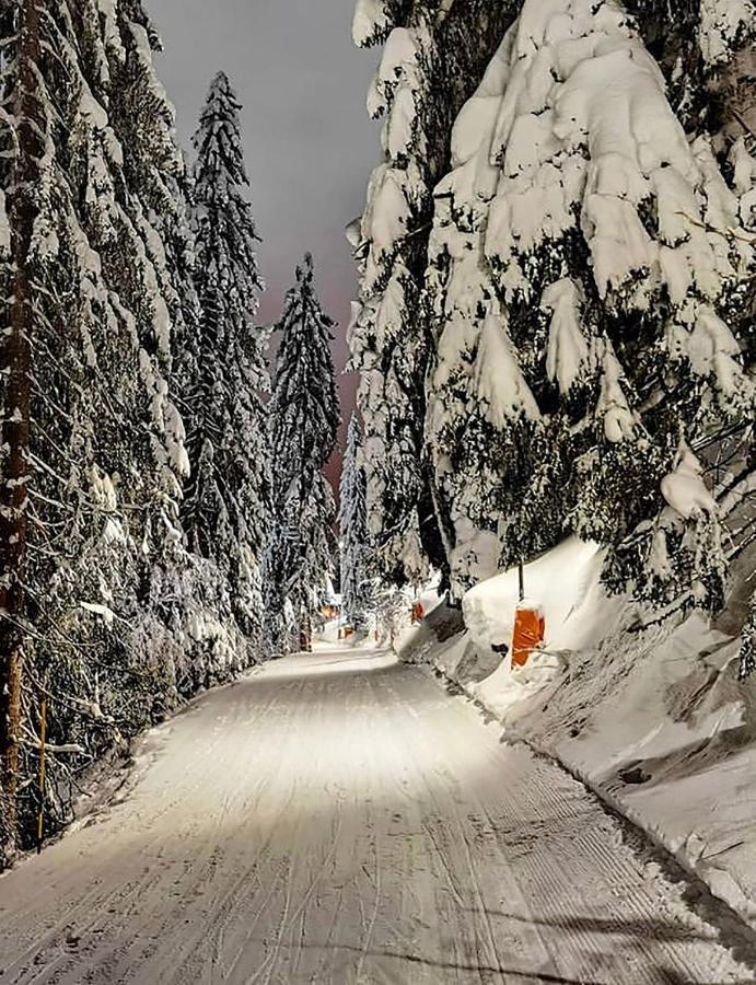 Wolf Apartments Jahorina Eksteriør bilde