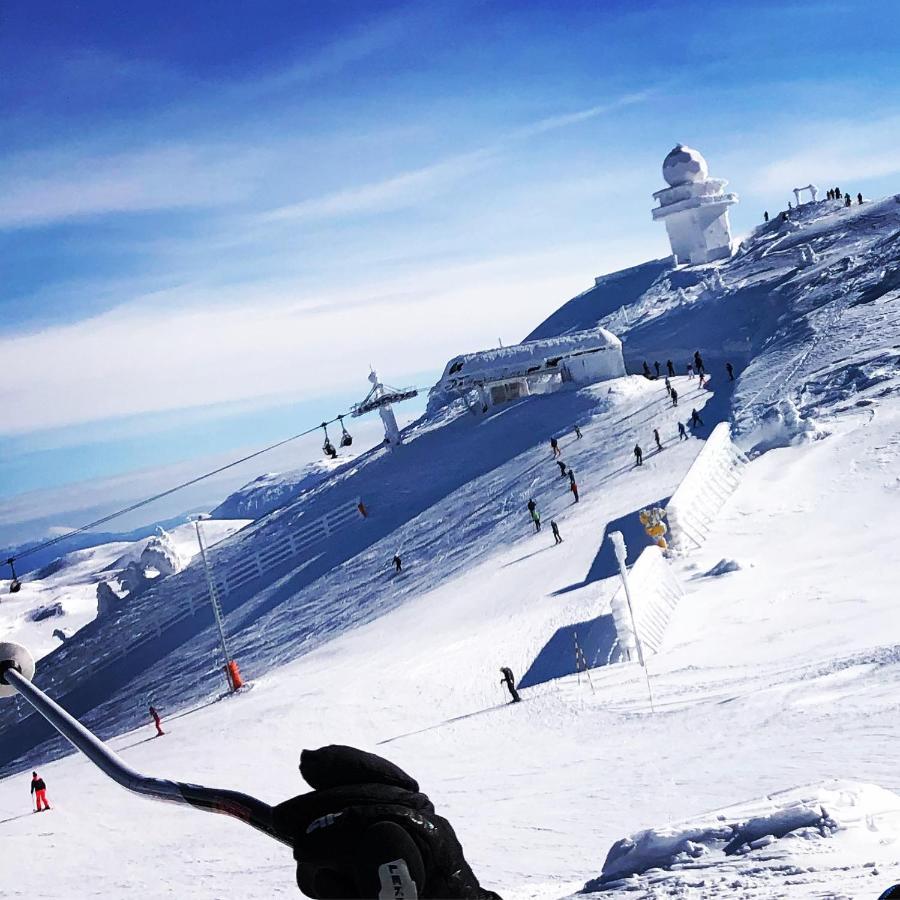 Wolf Apartments Jahorina Eksteriør bilde